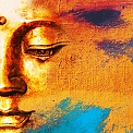 Explore meditation and Buddhism in Warwick