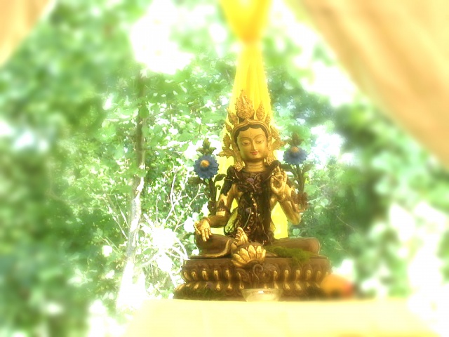 Buddhafield: Tara