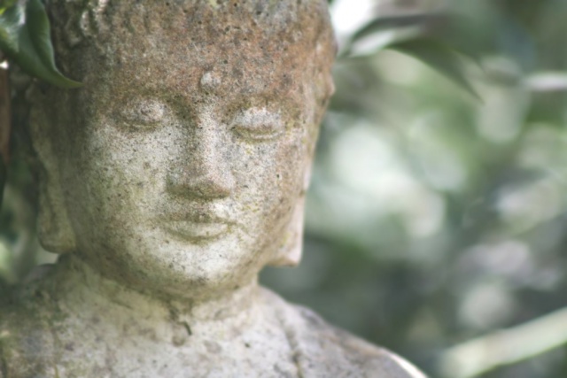 Garden Buddha