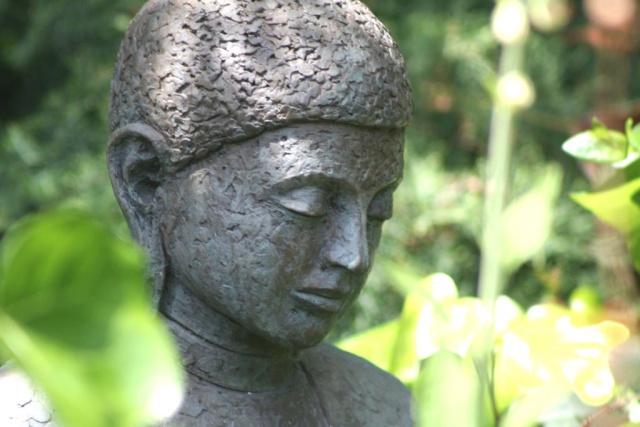 Pond Buddha