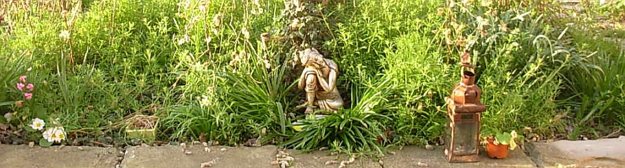 The Buddha at Lantern Cottage in Glastonbury