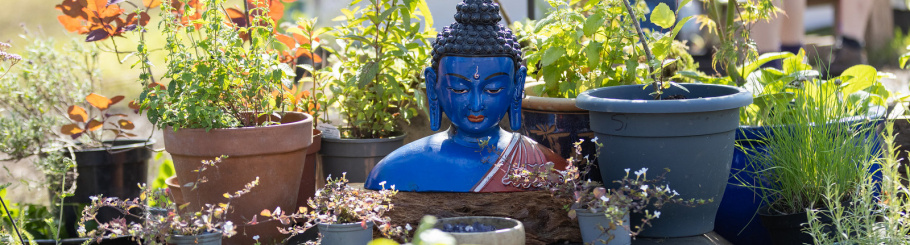 Blue Buddha head