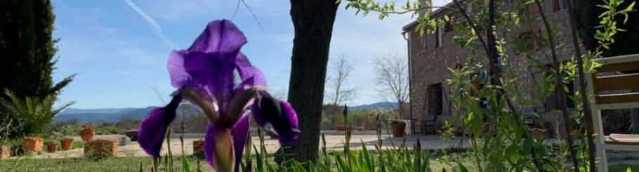 Suryavana Retreat Centre