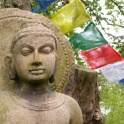 Buddhafield Buddha - marking the entrance to the Buddhafield land at Broadhembury in Devon