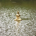 Buddha In The Water