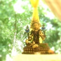 Buddhafield: Tara