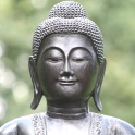 Head Of A Buddha