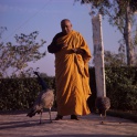 Jagdish Kasyap With Peacocks