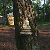 Tree Shrine
