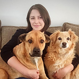 Bodhikamala's picture