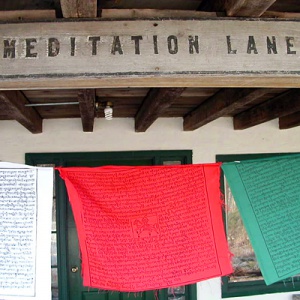 Meditation Lane