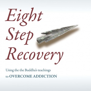 Eight Step Recovery