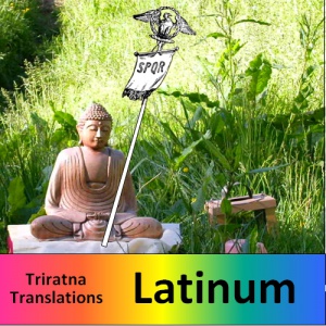 Latin Translation Group