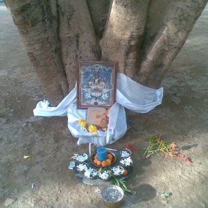 Shrine with Refuee Tree