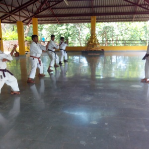 Karate Grading