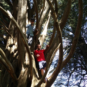 Tree climbing during the Sangha cycle!