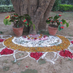 Rangoli under Bodhi Tree