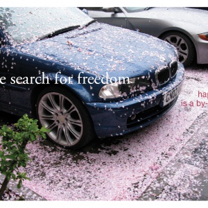 The search for freedom