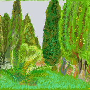 Cypress gardens. Thanks to Yashodeva 