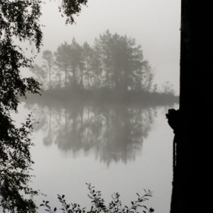 Lake in mist
