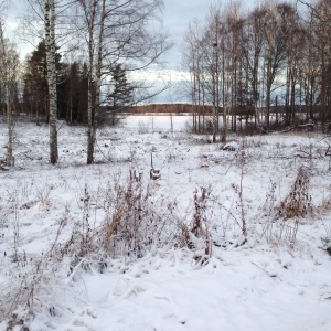 Frozen river, Sweden