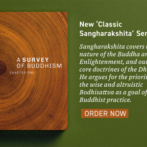 A Survey of Buddhism