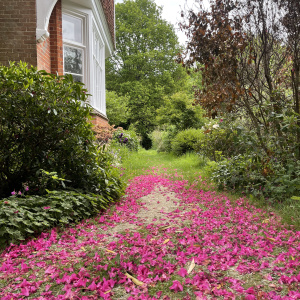 springtime at Rivendell...