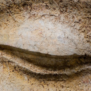 life with full attention