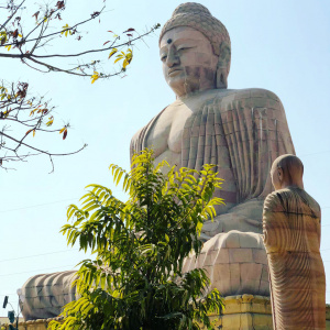 The Giant Buddha 1