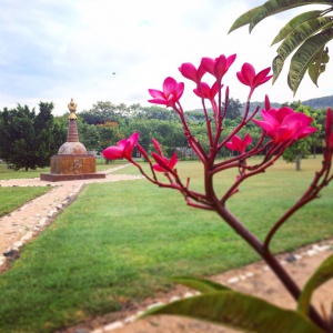 On the stupa path