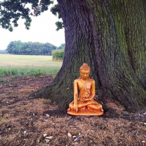 The Buddha of the Field