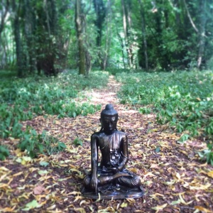 The Buddha of the Woods