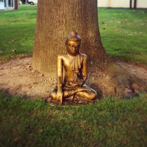 The Buddha Under The Tree