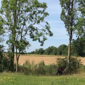 Vajrasana the view over the fields 