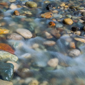 portsmouth nh,Sunday Sangha, mind
