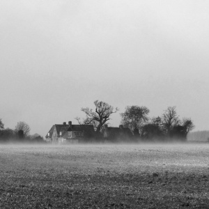Mist over the fields in Cambridgeshire behind our cottage