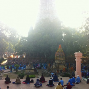 Meditating at the temple 