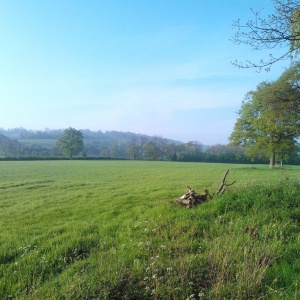 The Retreat Site at Adhisthana