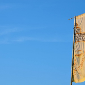 Buddhafield Festival Banner