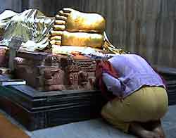 Bowing to the Buddha