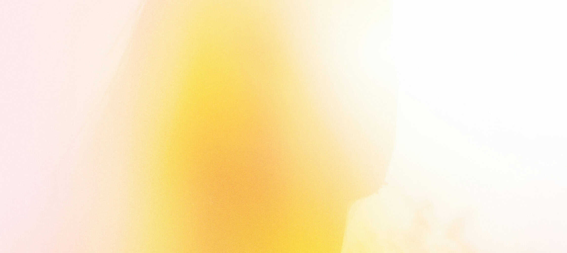 Viveka and Paramananda