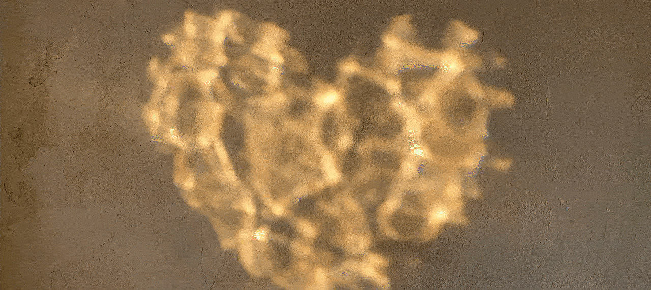 Viveka and Paramananda