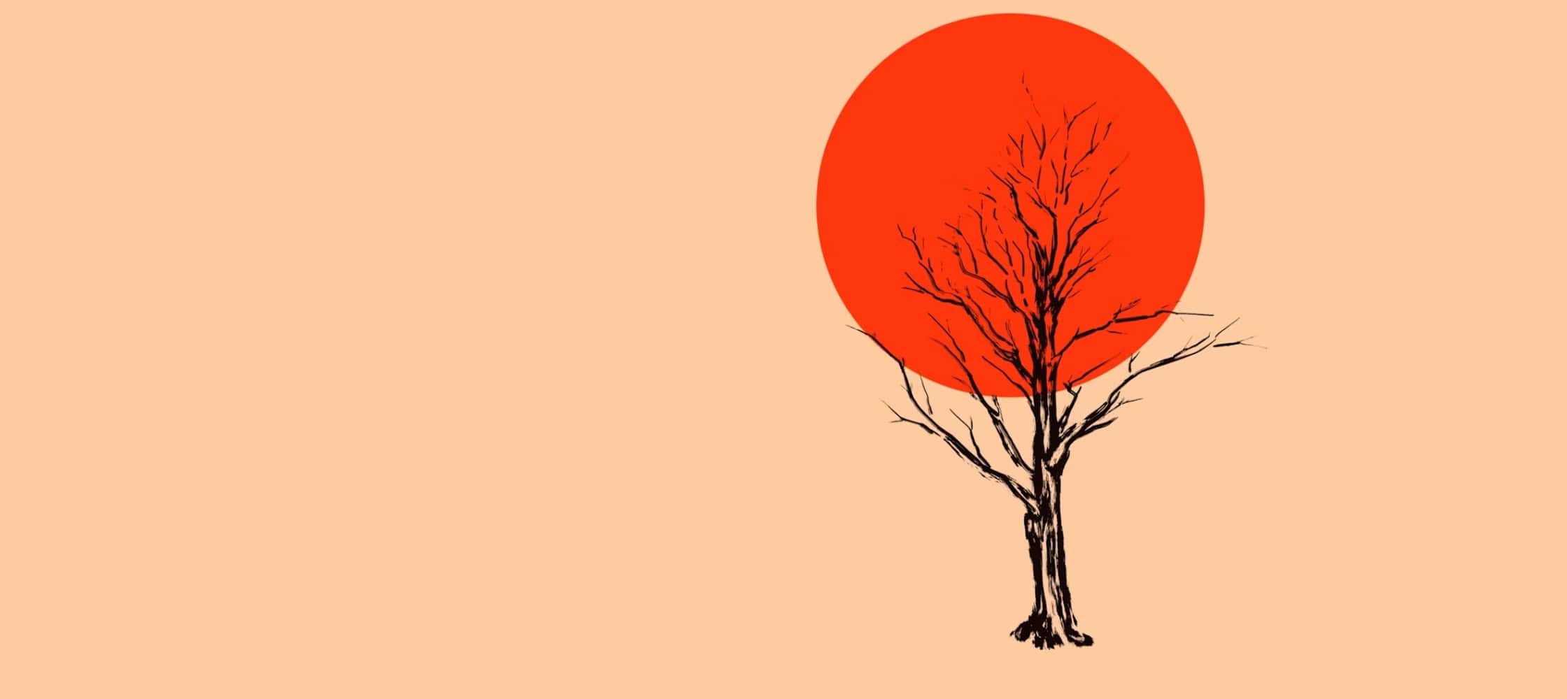 Viveka and Paramananda